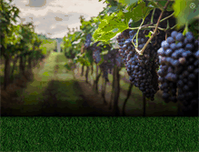 Tablet Screenshot of prograss.fr